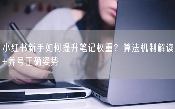 小红书新手如何提升笔记权重？算法机制解读+养号正确姿势