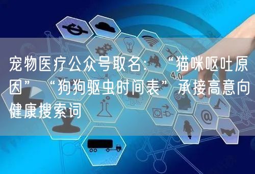 宠物医疗公众号取名：“猫咪呕吐原因”“狗狗驱虫时间表”承接高意向健康搜索词