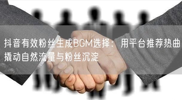 抖音有效粉丝生成BGM选择：用平台推荐热曲撬动自然流量与粉丝